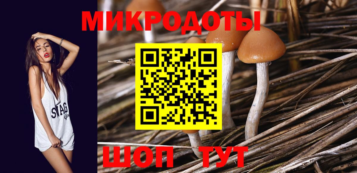 Галлюциногенные грибы Magic Shrooms  купить наркотик  Приморско-Ахтарск  Вход с VPN 