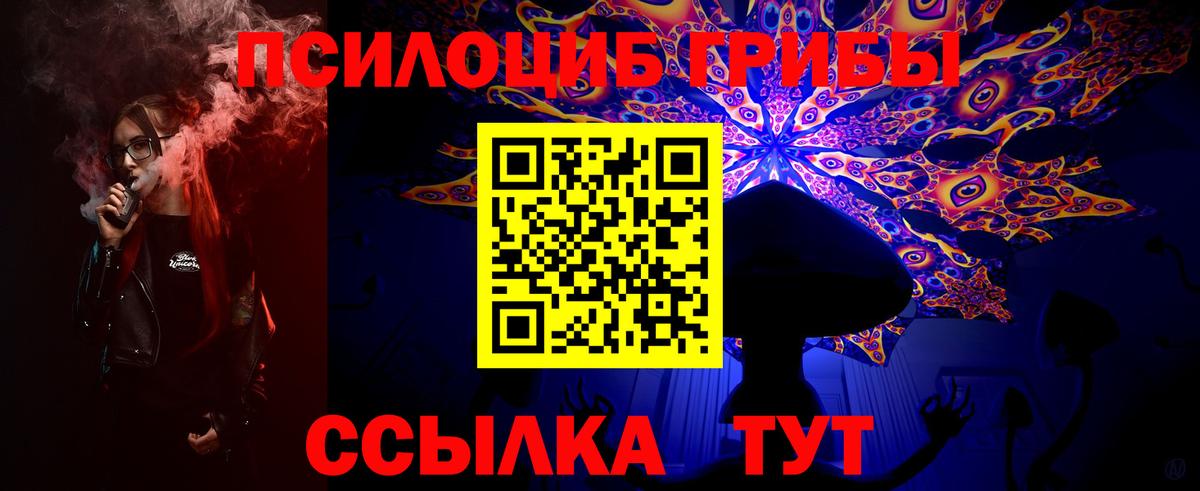 Галлюциногенные грибы ЛСД Приморско-Ахтарск
